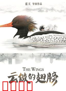 云做的翅膀：追梦蓝天