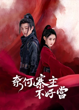 奈何寨主不好当：穿越女寨主逆袭