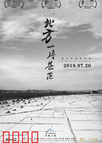 北方一片苍茫：农村女性的悲歌