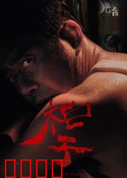 光合计划：未来能源之战