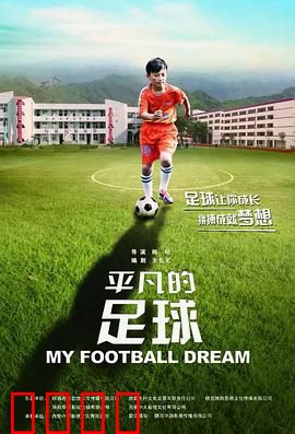 平凡的足球：平凡人的绿茵梦