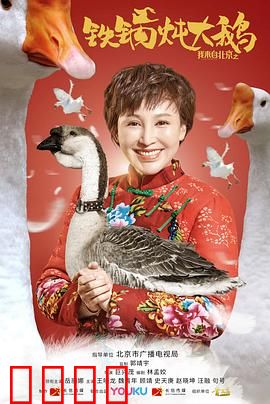我来自北京之铁锅炖大鹅：农村创业奇遇