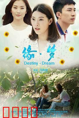 缘·梦：泡沫之约