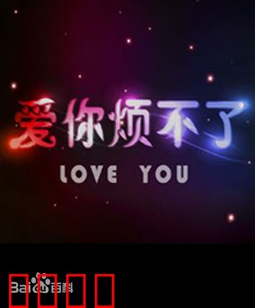 爱你烦不了：爱情大作战