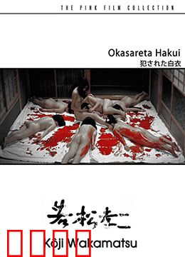 被侵犯的白衣：破碎天使