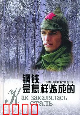 钢铁是怎样炼成的：铁血丹心