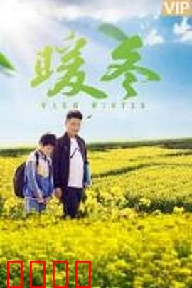 暖冬之殇：未解之谜