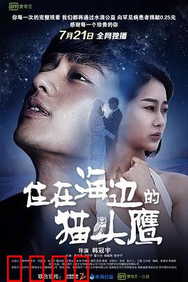 住在海边的猫头鹰：治愈系人生困境