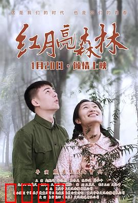 红月亮森林：幽暗密林之谜