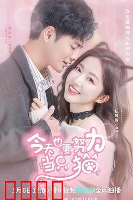 今天也要努力当只猫：猫咪的温馨治愈