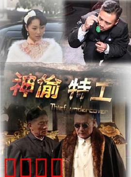 神偷特工：极限潜入