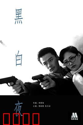 黑白夜：真相在光影间
