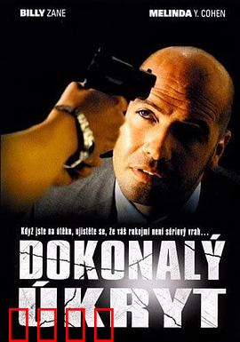 完美隐藏：致命秘密