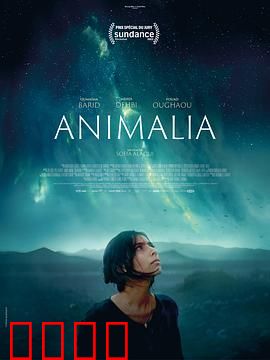 动物界：弱肉强食的法则