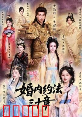 婚内约法三十章：契约婚姻大作战