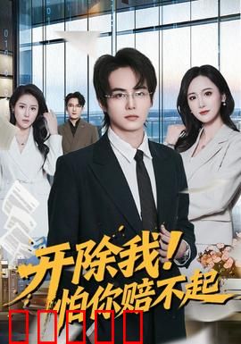 开除我！怕你赔不起：职场达人逆袭记