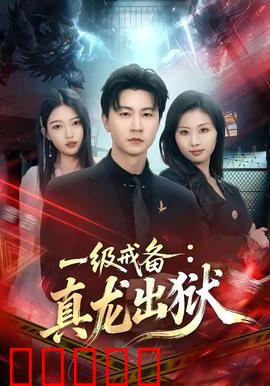 一级戒备：特工暗战