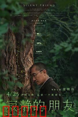 寂静的朋友：沉默的羁绊